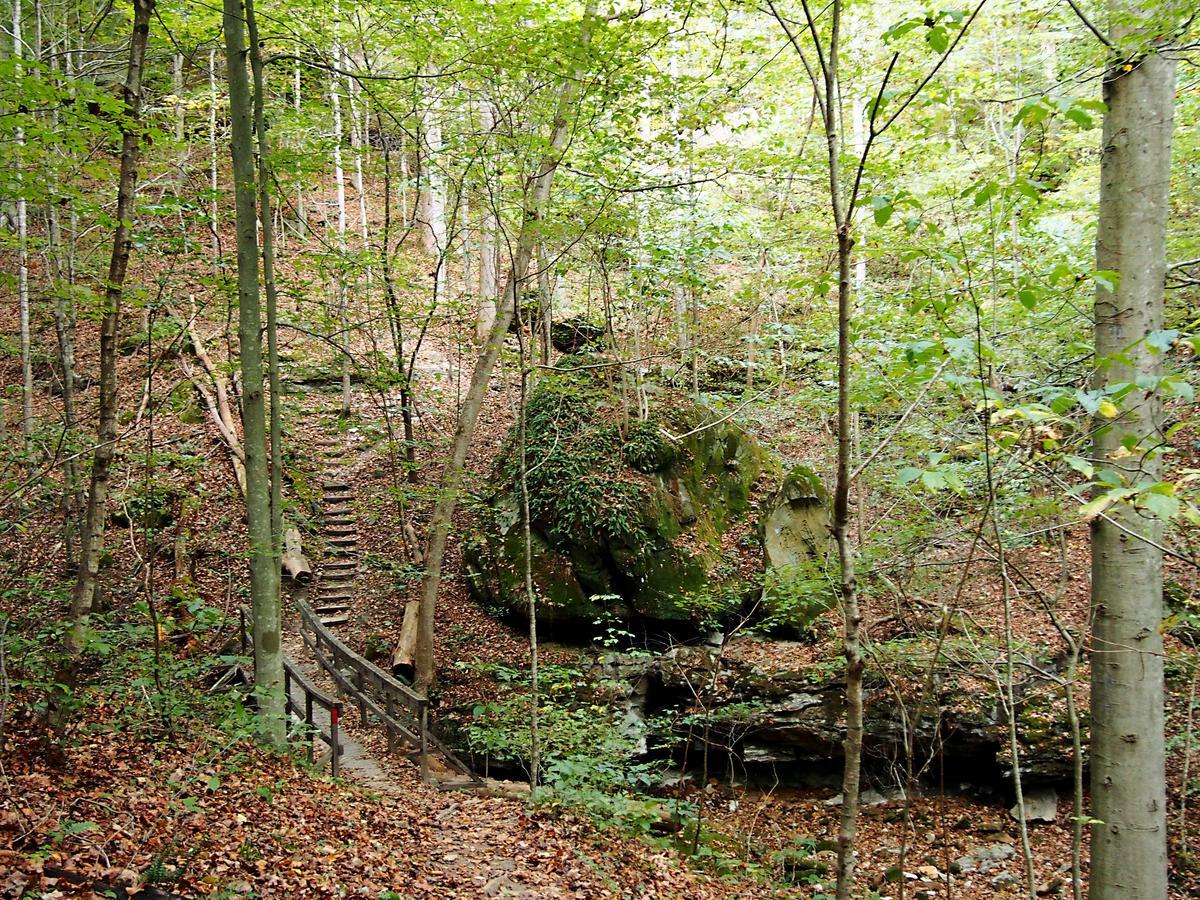 Carter Caves State Resort Park Olive Hill Ngoại thất bức ảnh